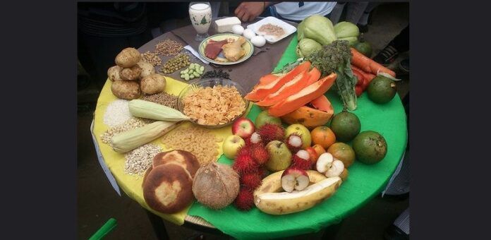 Plato del bien comer Plato del bien comer