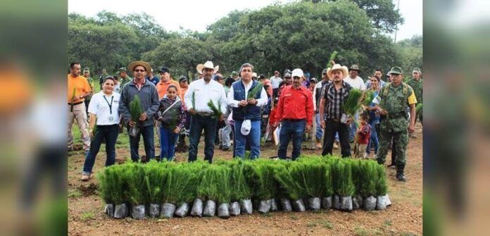 Participan productores y sus familias Participan productores y sus familias