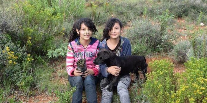 Familias participan en la reforestación Familias participan en la reforestación