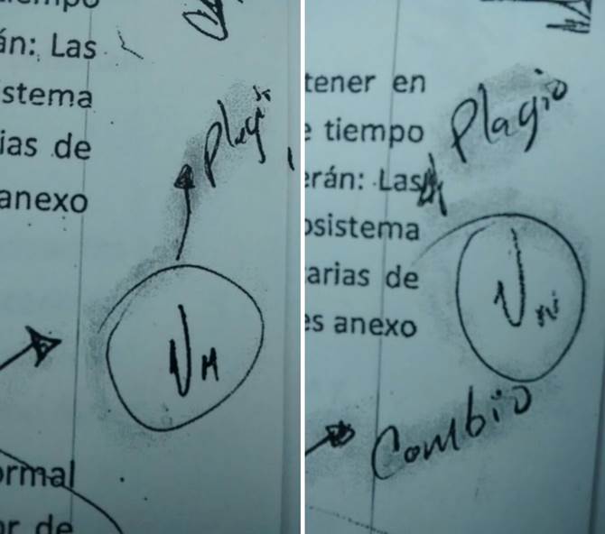 firmas.jpg