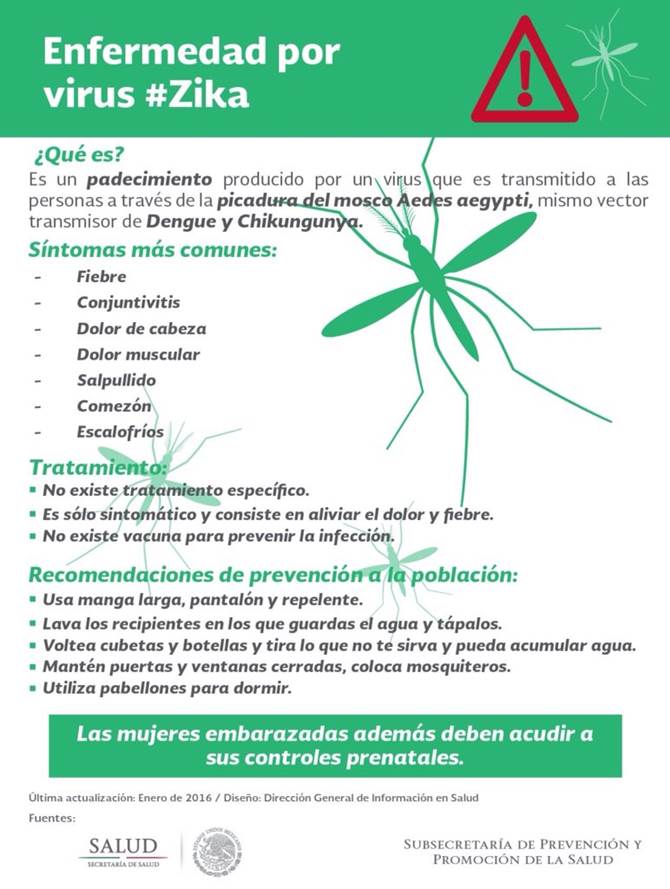 zika.jpg