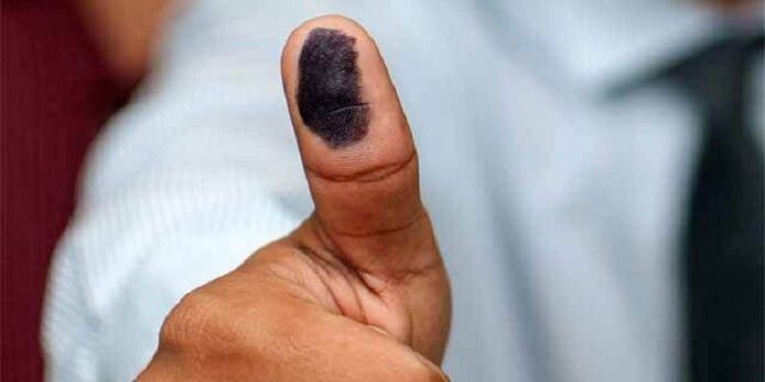 voto-7eb
