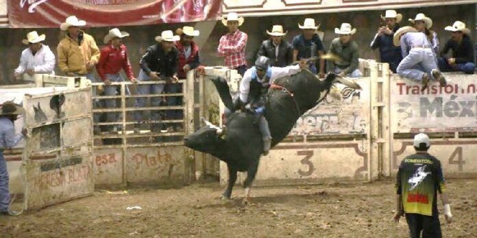 Rodeo Universitario en Feria de Guadalupe
