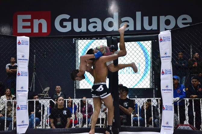 pelea-2.jpg
