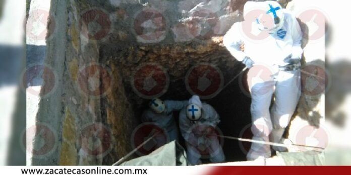 Realizaron rapel y buceo los elementos de PC Realizaron rapel y buceo los elementos de PC