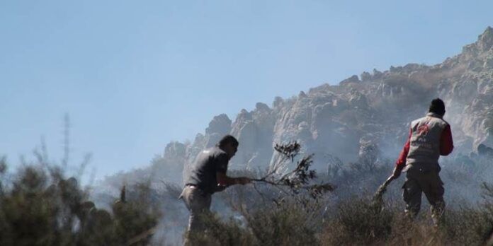 Bomberos sofocan las llamas Bomberos sofocan las llamas