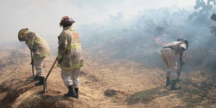 Bomberos del municipio atienden los incendios. Bomberos del municipio atienden los incendios.