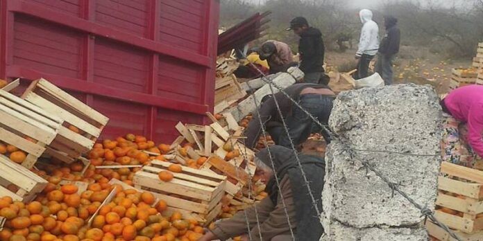 La rapiña no pudo llevarse las mandarinas. La rapiña no pudo llevarse las mandarinas.