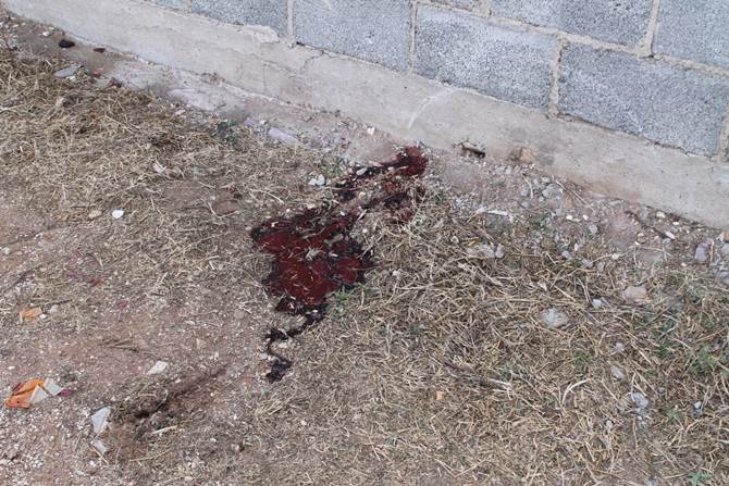 asesinato-5.jpg