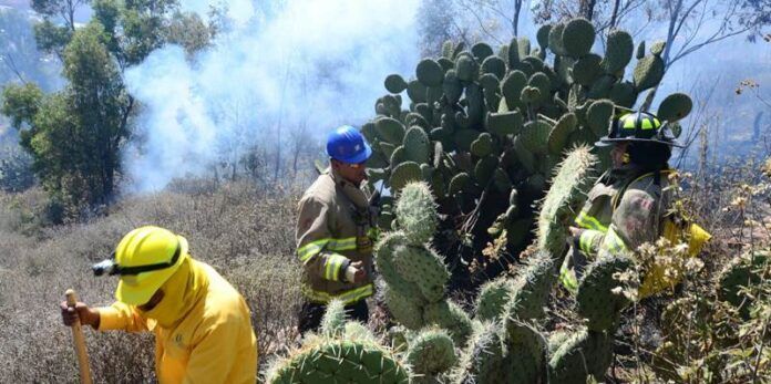 Bomberos y personal de Conafor