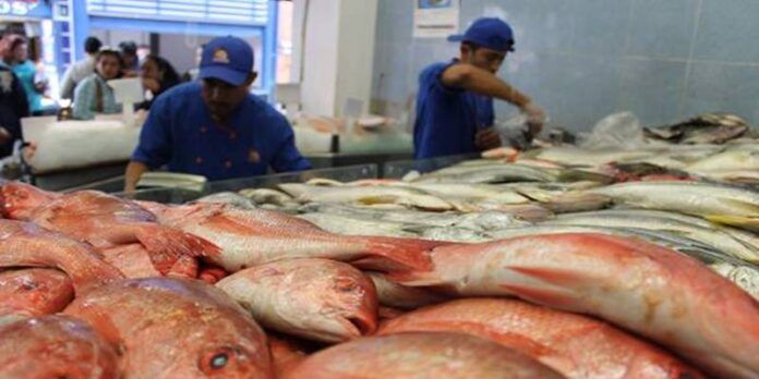 Verificarán lugares donde venden pescado Verificarán lugares donde venden pescado
