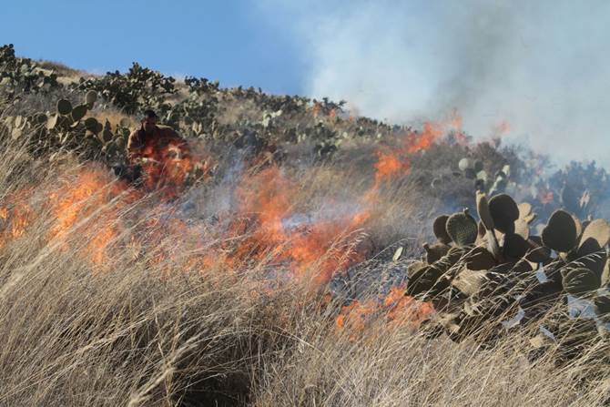 incendio-2.jpg