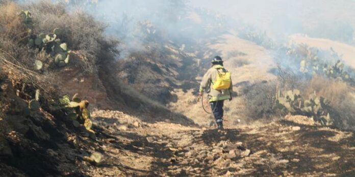 Bombero en el lugar Bombero en el lugar