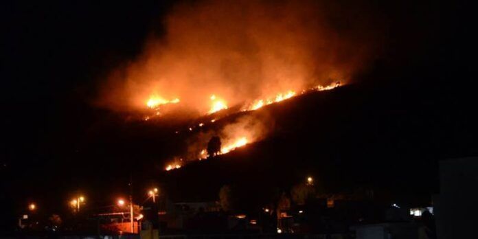 Consume 100 metros cuadrados de maleza Consume 100 metros cuadrados de maleza