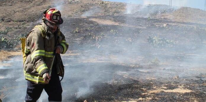Acuden bomberos y personal de Conafor Acuden bomberos y personal de Conafor