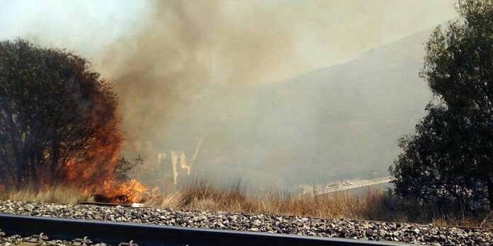 Presunto incendiario Presunto incendiario