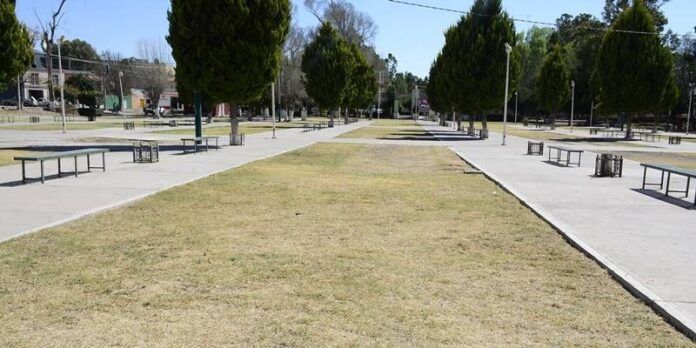 Los jardines ya lucen limpios. Los jardines ya lucen limpios.