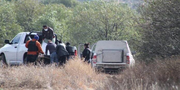 Los cuerpos fueron encontrados en un predio.