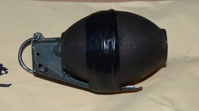 posesion armas 2