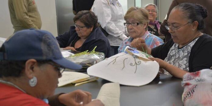 Promueven también la convivencia. Promueven también la convivencia.