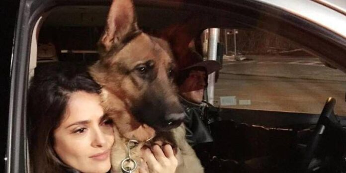 Salma Hayek demostraba su amor por Mozart en cada momento. Salma Hayek demostraba su amor por Mozart en cada momento.