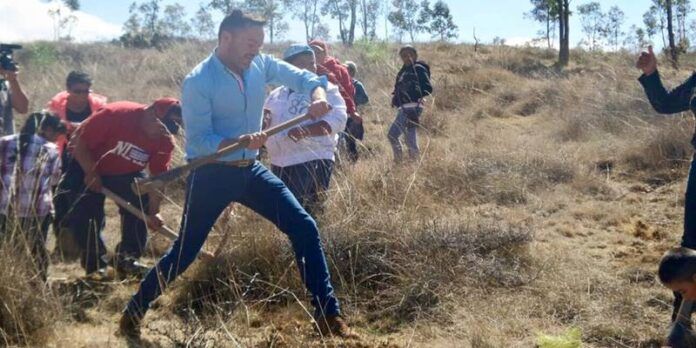 Raymundo Moreno encabezó la siembra.