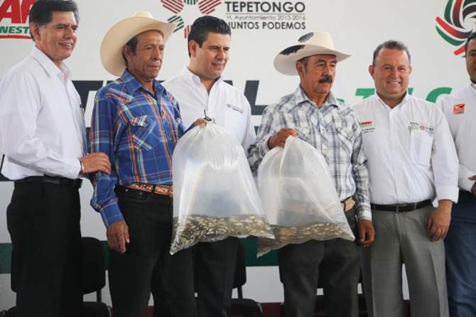 tepetongo.jpg