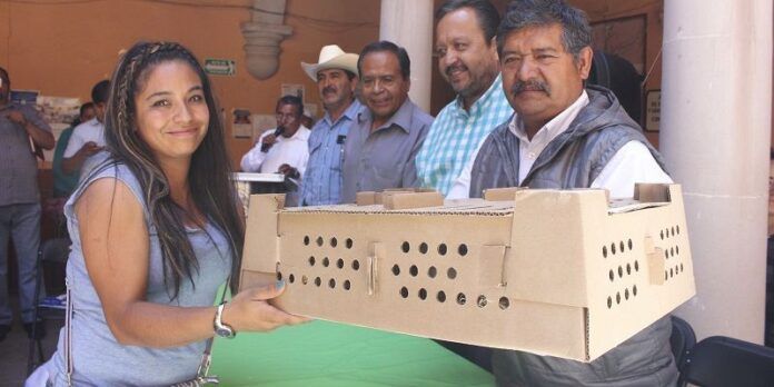 Beneficiaron a 200 familias Beneficiaron a 200 familias