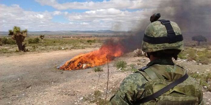 Militares presencian la incineración
