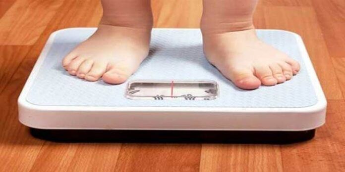 Aumentan entre 1 y 2 kilos Aumentan entre 1 y 2 kilos