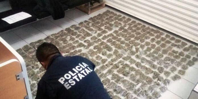 500 dosis de marihuana fueron aseguradas 500 dosis de marihuana fueron aseguradas