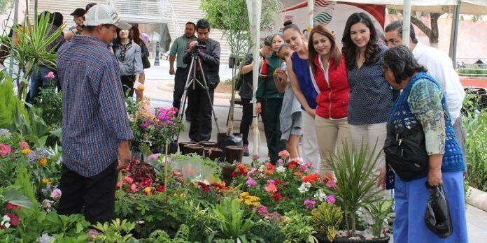 Participan 5 viveros Participan 5 viveros