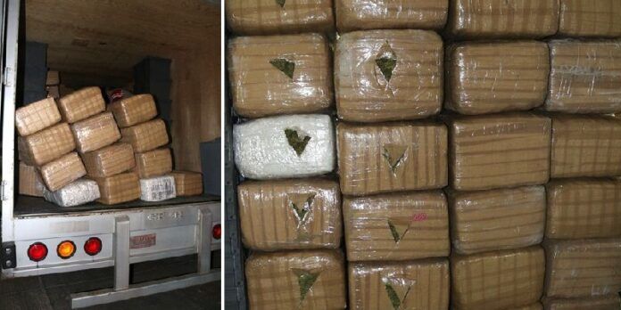 Marihuana y vehículo asegurados Marihuana y vehículo asegurados