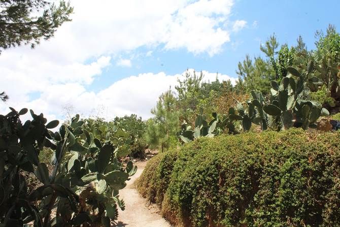jardín-don-juan-2.jpg