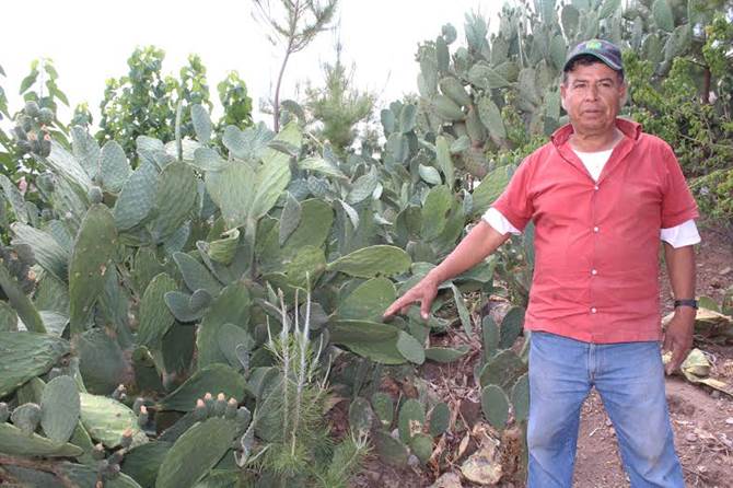 jardín-don-juan.jpg