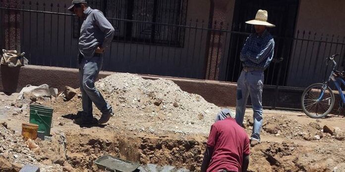 Actualmente trabajan en Palmas Altas Actualmente trabajan en Palmas Altas