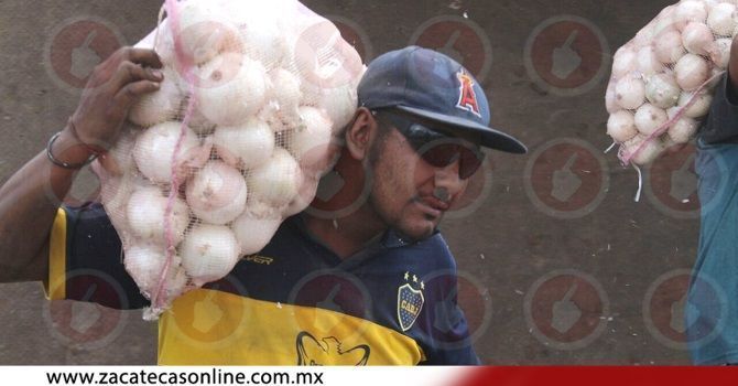 vuelca cebollas 4