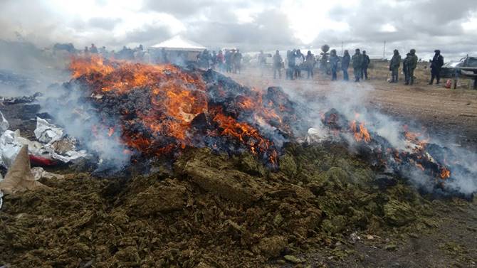 incineracion droga 4