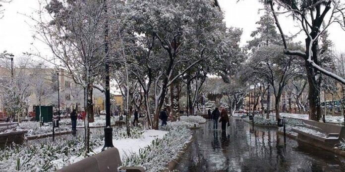 Alameda nevada Alameda nevada
