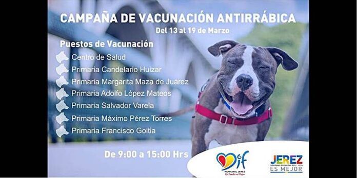 Instalan puestos de vacunación