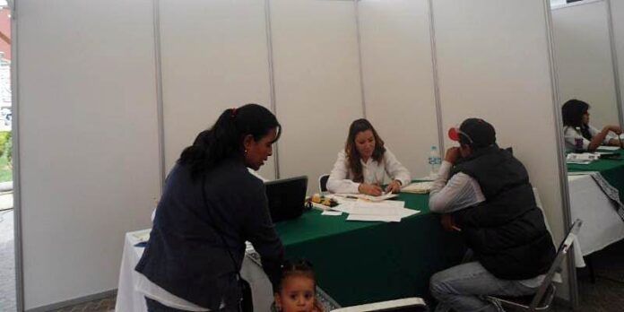Participan 6 empresas Participan 6 empresas