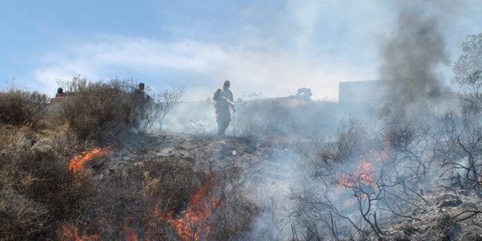 Bomberos sofocan las llamas Bomberos sofocan las llamas
