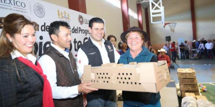 Lleva paquetes de aves Lleva paquetes de aves