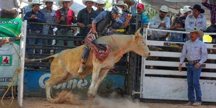 Montaron renegados toros.