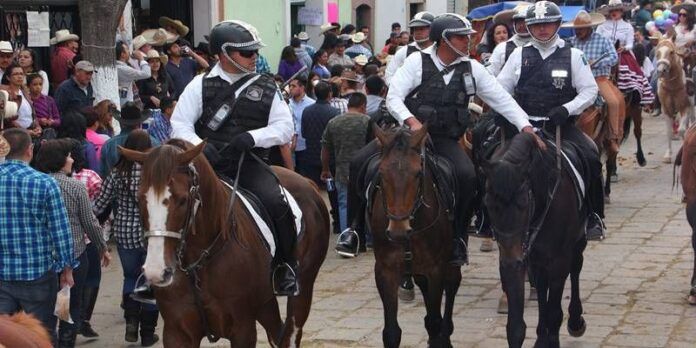Policías de los 3 niveles colaboraron. Policías de los 3 niveles colaboraron.
