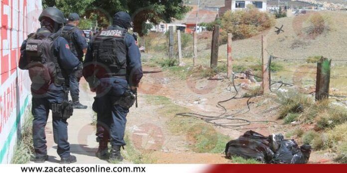 Las bolsas estaban en medio de un camino.