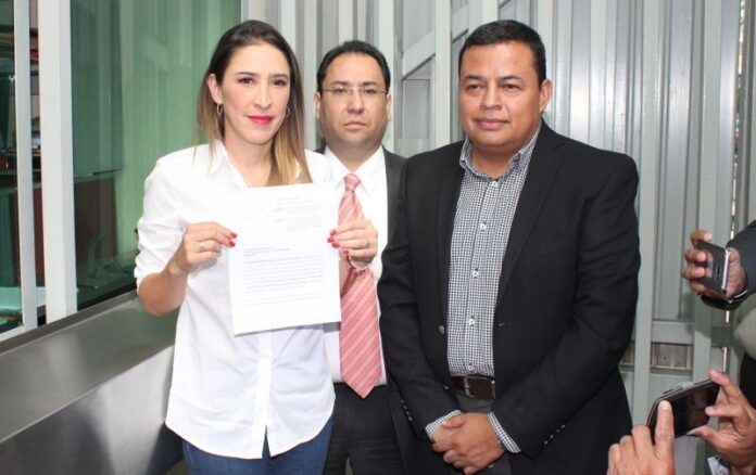Mariana Moguel presentó la denuncia. Mariana Moguel presentó la denuncia.