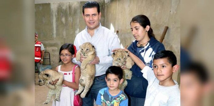 Gobernador con niños y felinos Gobernador con niños y felinos