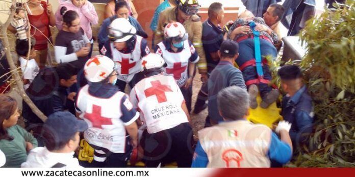 Ventarrón hace colapsar tronco Ventarrón hace colapsar tronco