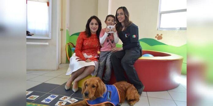 Terapia con perros para autismo Terapia con perros para autismo